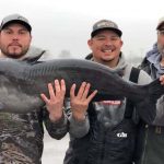 tawakoni-record-catfish