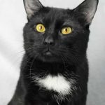 jake-hsnt19-832-jpg