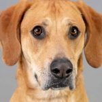 buster-hsnt19-832-jpg-2