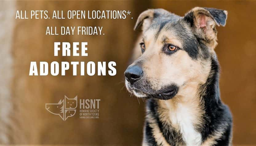 free-pet-friday-hsnt-facebook