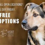 free-pet-friday-hsnt-facebook