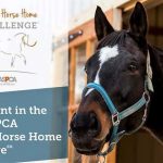 hsnt-horse-challenge