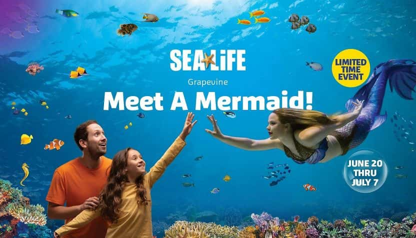 grapevine-aquarium-mermaids-facebook