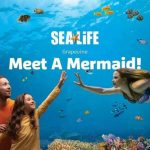 grapevine-aquarium-mermaids-facebook