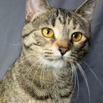 lisa-hsnt19-832-jpg-2