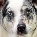 ellie-hsnt19-832-jpg-2