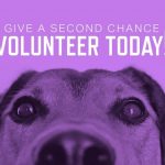 parker-county-animal-shelter-2nd-chance-campaign-facebook