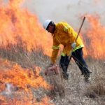 grass-fire-fwfd-facebook