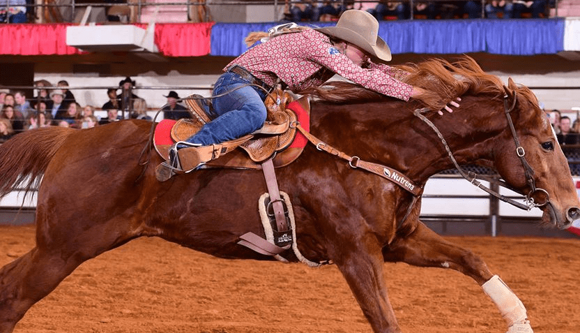 fort-worth-stock-show-and-rodeo-2020-pic3-832