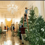 white-house-christmas-tree-832