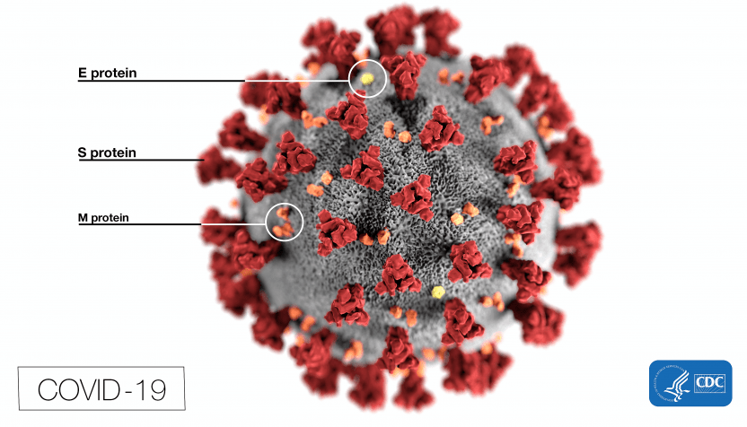 coronavirus-cdc
