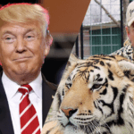 trump-and-tiger-king-1-832x477