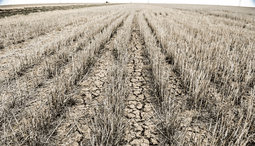 dry-farm-land-1-832