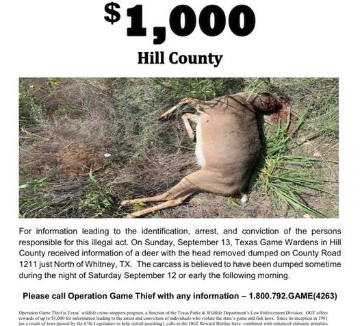 headless-deer-texas-game-warden-facebook