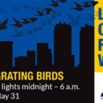 lights-out-birds-city-of-fort-worth