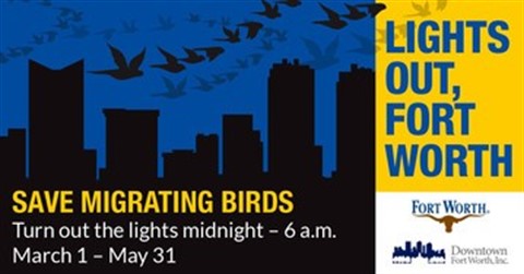 lights-out-birds-city-of-fort-worth