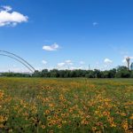 dallas-skyline-city-of-dallas-facebook