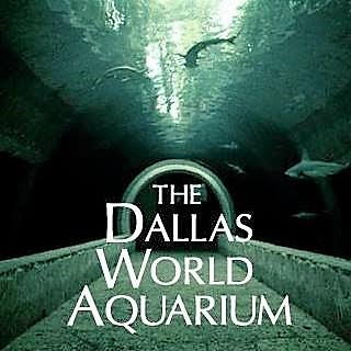 dallas-world-aquarium-facebook-profile