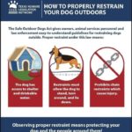 safe-dog-act-texas-humane-legislation