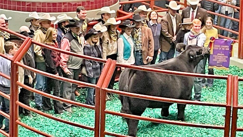 Grand Champion Steer Sells For Record Price At FWSSR KTFWFM