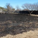 backyard-grass-fire-willow-park-fire-rescue-facebook