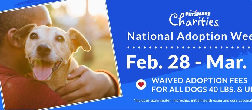 National Adoption Weekend kicks off at PetSmart