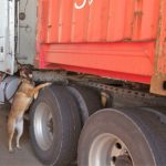 truck-inspection-at-border-cbp-facebook