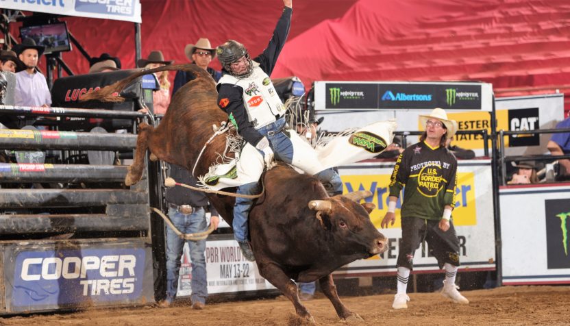 eli-vastbinder-pbr-andy-watsonbull-stock-media