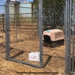 dog-kennel-millsap-pcso-facebook
