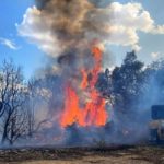 wildfire-dozer-a-turner-texas-am-forest-service