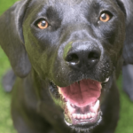 bella-cider-hsnt2022-832-png