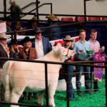 2-3-24-fwssr-grand-champion-leadfoot