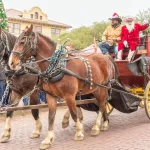 christmas-in-the-stockyards-2024-a-832