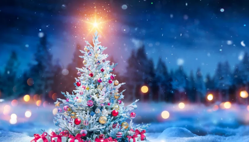 Christmas Tree And Gift Boxes On Snow In Night With Shiny Star and Forest - Winter Abstract Landscape