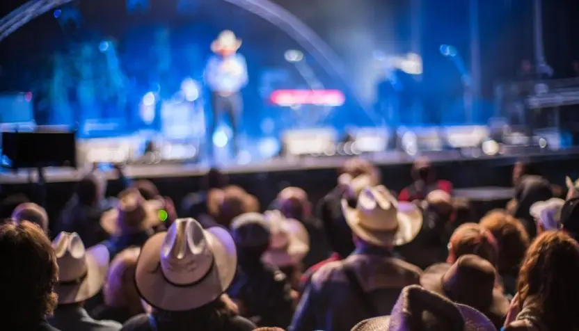 Audience at the Huercasa Country Festival 2017 in Riaza^ Segovia^ Spain^ enjoying live country music performances with a festive atmosphere.