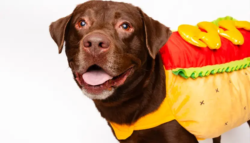 hershey-hsnt25-832-png