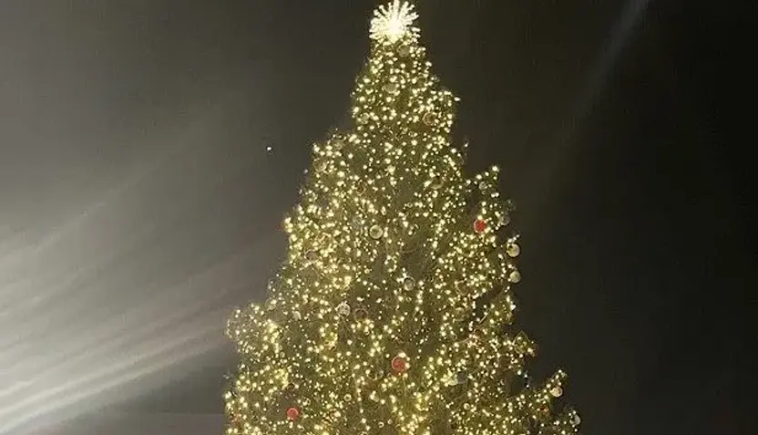 christmas-tree-sundance-2025-832