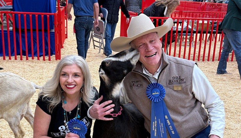 Hank Wins The Stock Show Celebrity Goat Milking Contest