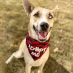 mystic-hsnt26-832-png