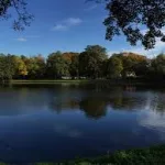 images4