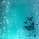 images5