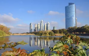 recs-reserva-ecologica-costanera-sur-buenos-aires-city-argentina