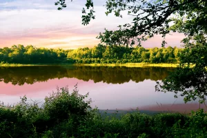 pond-in-the-sunrise