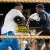 Detroit Boxing Gym Provides After School Activities for Detroit Youth