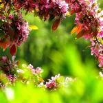 pexels-sevenstormphotography-381739-jpg