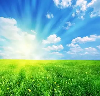 sunny-spring-landscape-photo-4