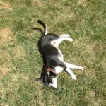Playful: Being Playful With Danny