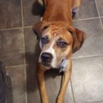 Jeckel: Randy's Buddy