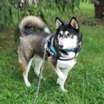 Olaf: Kimberly's Beauty