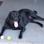 Tucker: AJ's Best Friend Too!